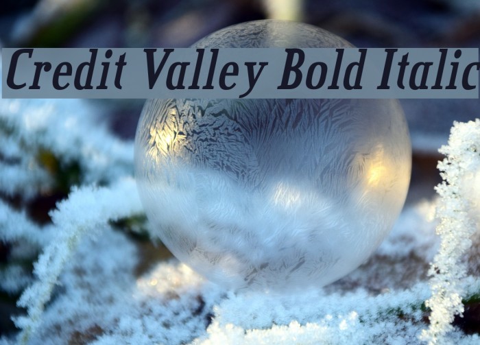 Credit Valley Bold Italic Font examples