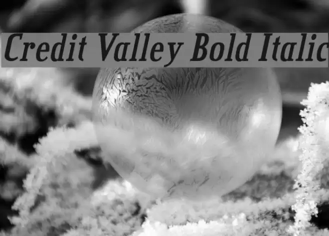 Credit Valley Bold Italic خط examples