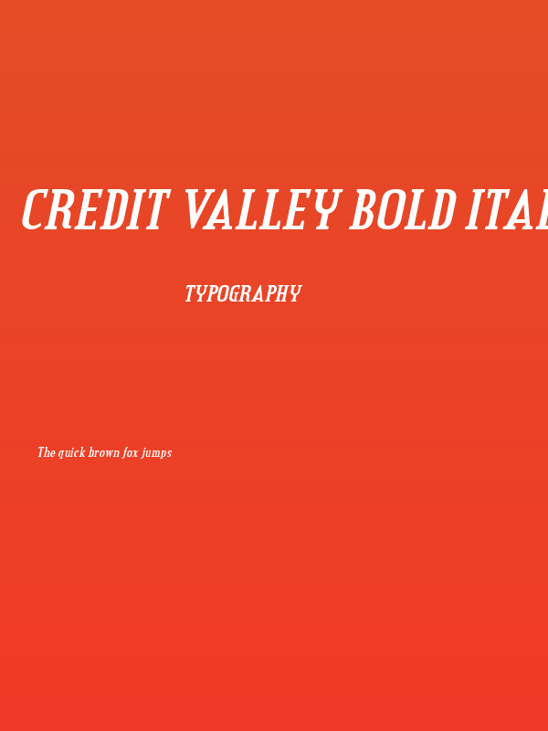 Credit Valley Bold Italic Poster