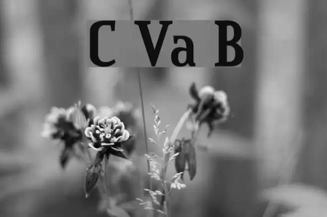 Credit Valley Bold Font examples