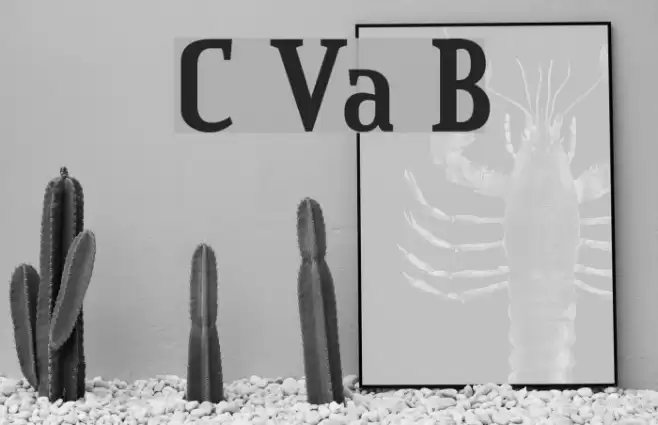 Credit Valley Bold Font examples
