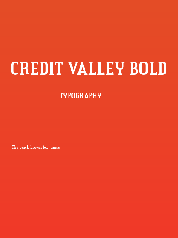 Credit Valley Bold Poster