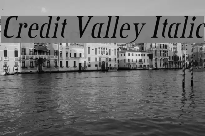 Credit Valley Italic Font examples
