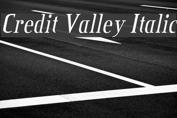 Credit Valley Italic Font examples
