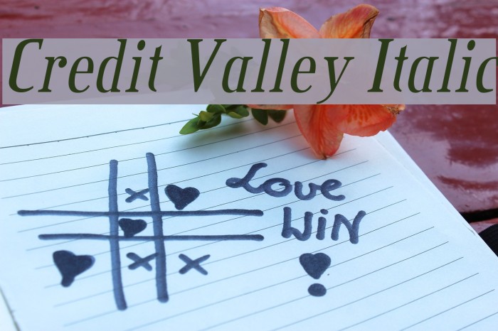 Credit Valley Italic Font examples