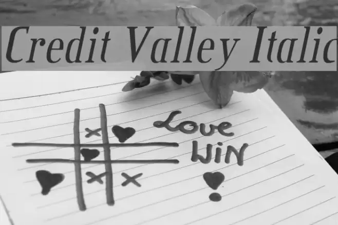 Credit Valley Italic Font examples