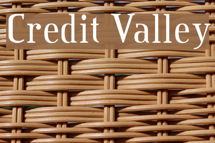 Credit Valley Font examples
