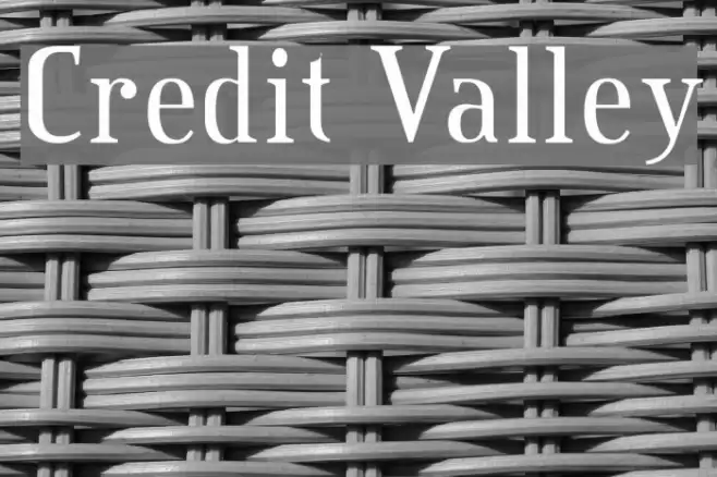 Credit Valley Polices examples