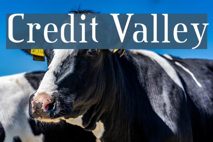 Credit Valley Font examples