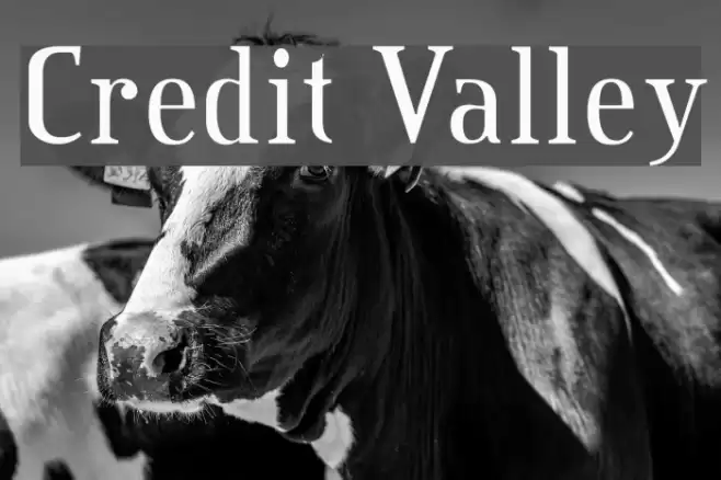 Credit Valley Polices examples