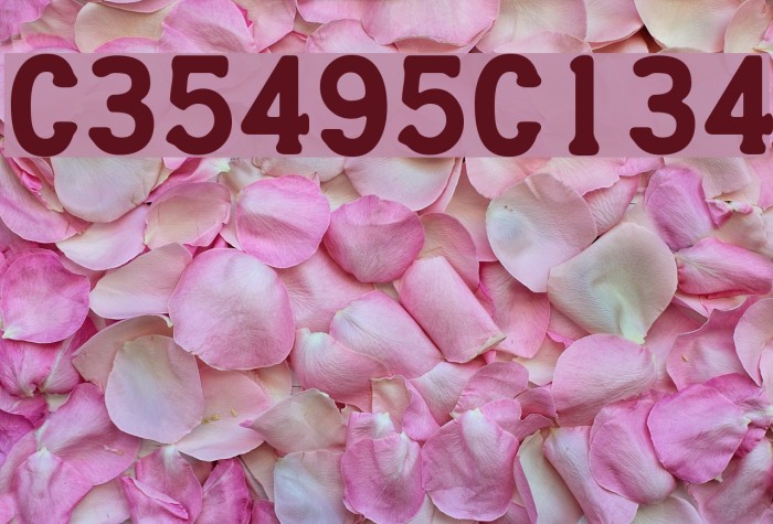 CreditCard Font examples
