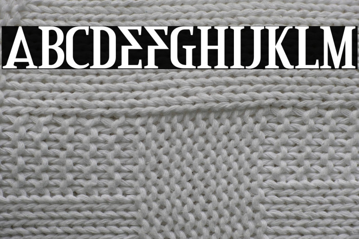 CreditRiver-Regular Example 2