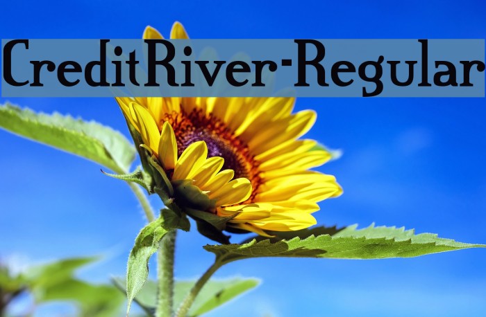 CreditRiver-Regular Font examples