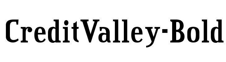 CreditValley-Bold Font