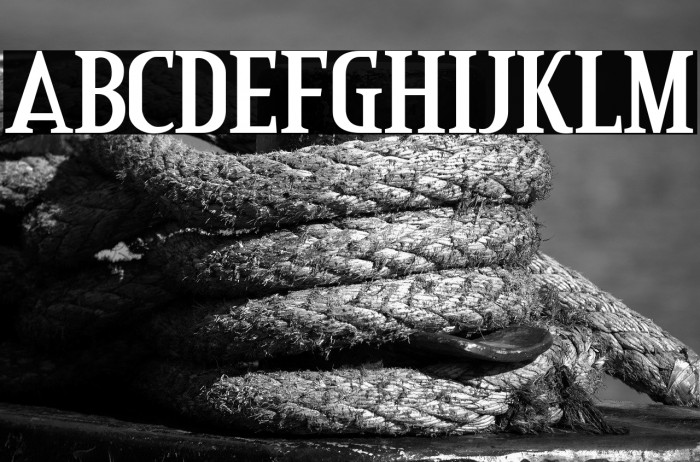 CreditValley-Bold Example 2