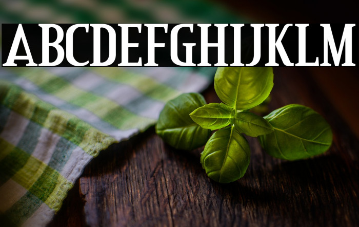 CreditValley-Bold Example 3