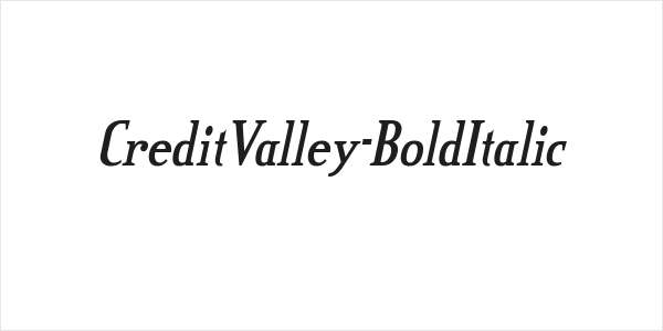 CreditValley-BoldItalic Logo