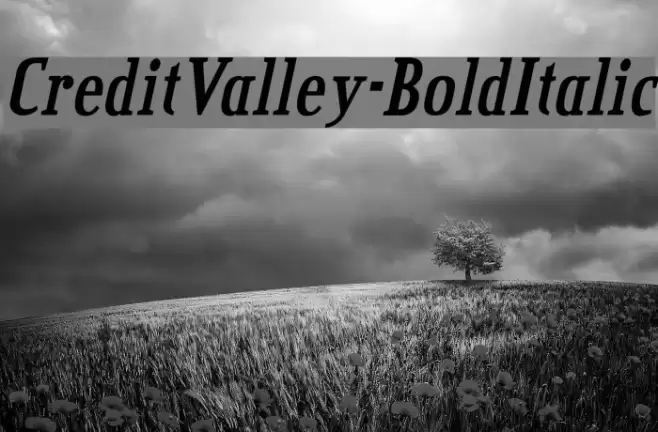 CreditValley-BoldItalic Font examples