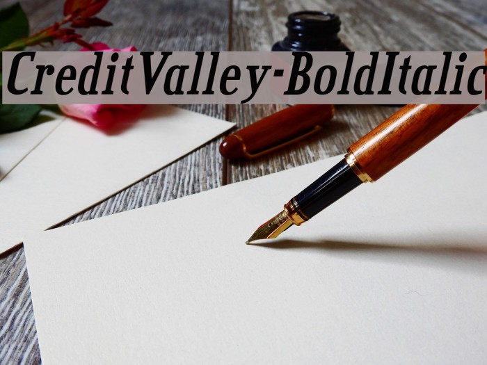 CreditValley-BoldItalic Font examples