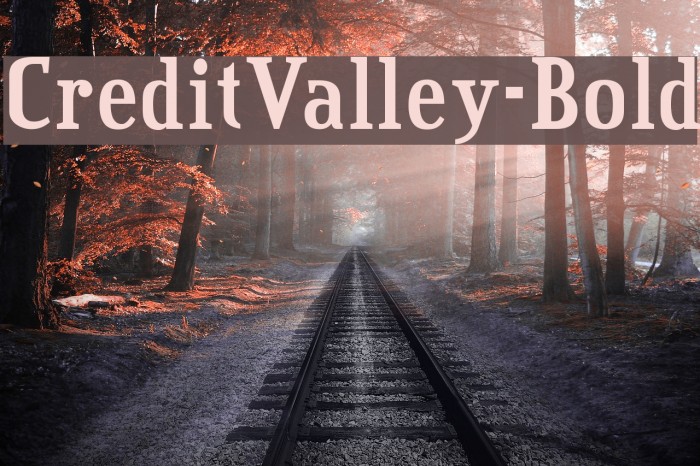 CreditValley-Bold Font examples
