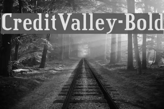 CreditValley-Bold Font examples