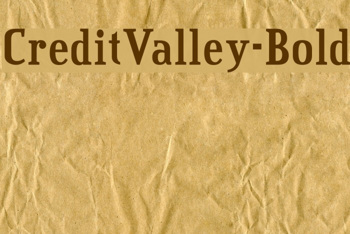 CreditValley-Bold Font examples