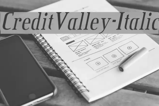 CreditValley-Italic Font examples