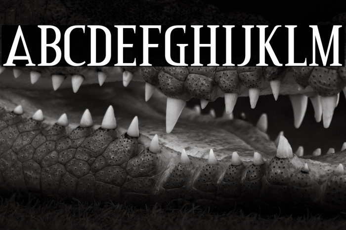 CreditValley-Regular Example 1