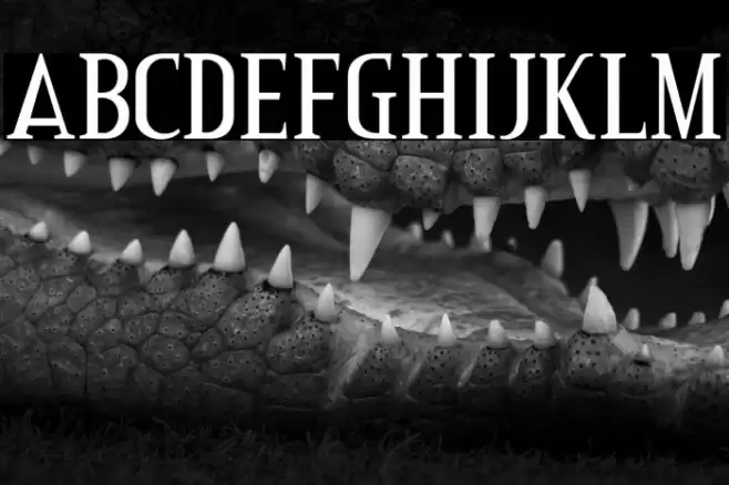 CreditValley-Regular Font examples