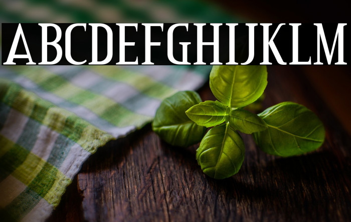 CreditValley-Regular Example 2