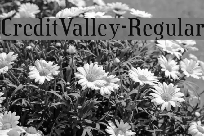 CreditValley-Regular Font examples
