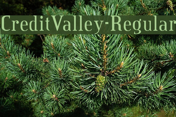 CreditValley-Regular Font examples