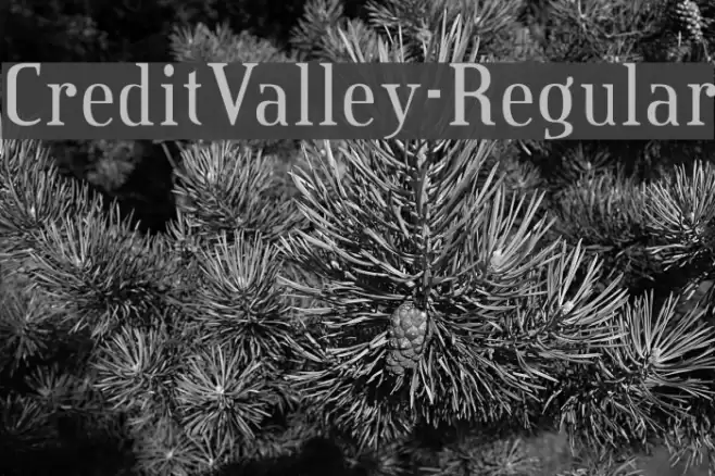 CreditValley-Regular Font examples