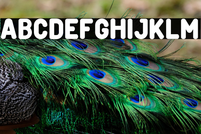 Creditverse Example 2