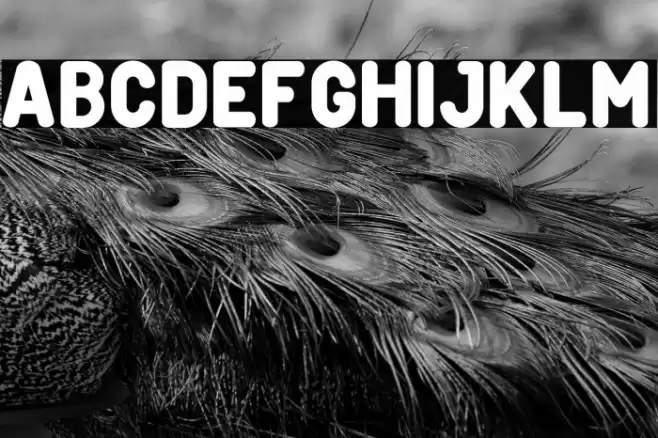 Creditverse Font examples