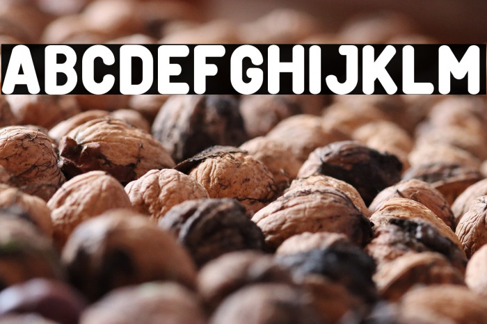 Creditverse Example 3