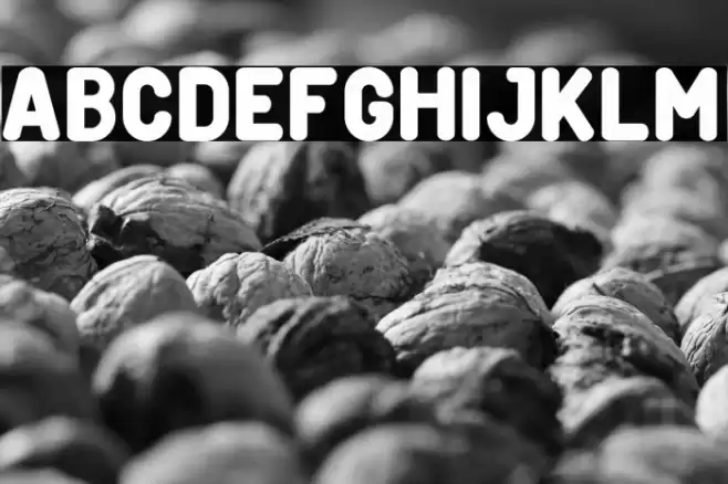 Creditverse Font examples