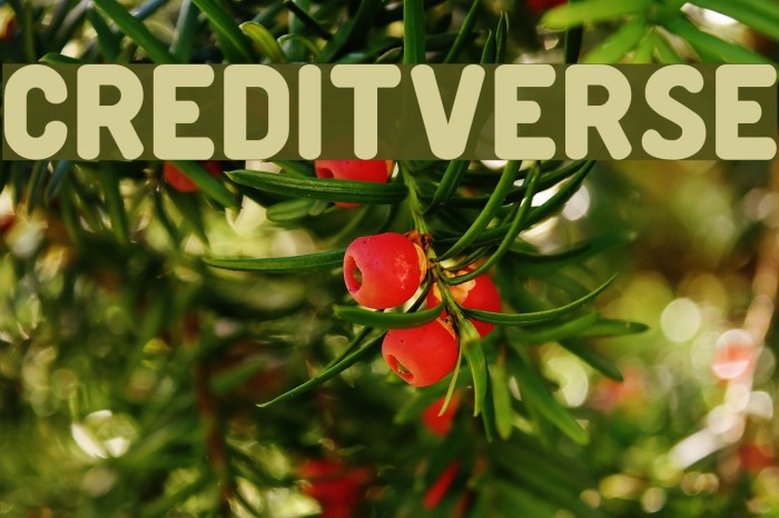 Creditverse Font examples