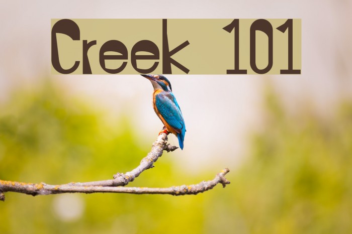 Creek 101 Font examples