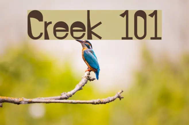 Creek 101 Example 3