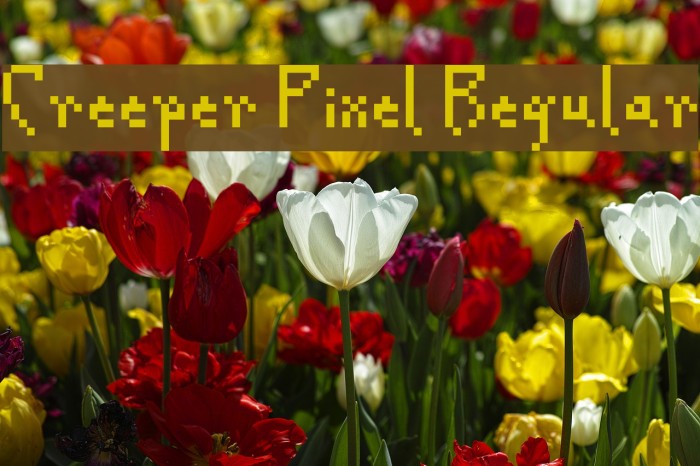Creeper Pixel Regular Font examples