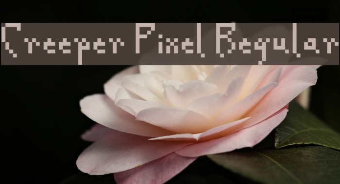 Creeper Pixel Regular Font examples