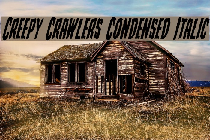Creepy Crawlers Condensed Italic Font examples