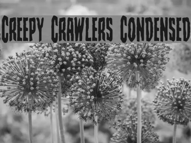 Creepy Crawlers Condensed Font examples