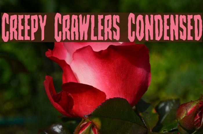 Creepy Crawlers Condensed Шрифта examples