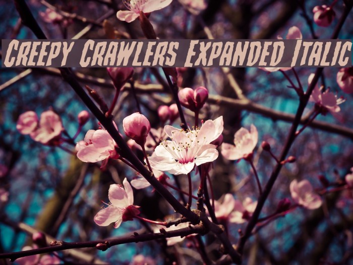Creepy Crawlers Expanded Italic Schriftart examples