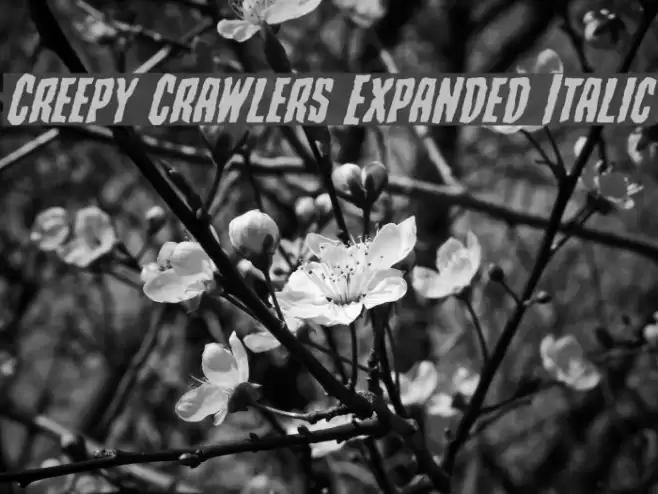 Creepy Crawlers Expanded Italic Font examples