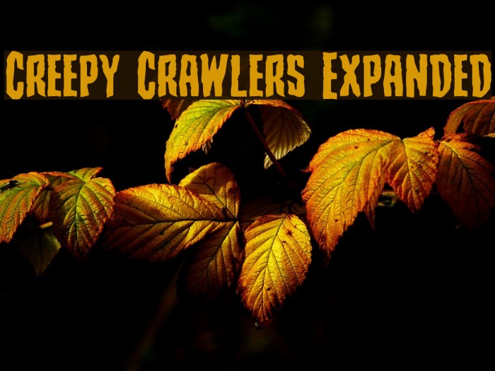 Creepy Crawlers Expanded Font examples