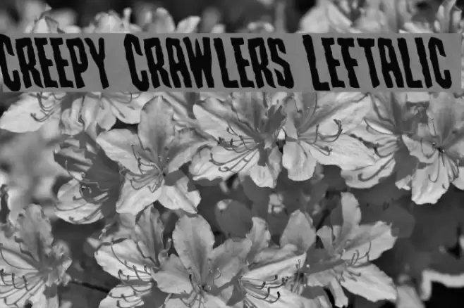 Creepy Crawlers Leftalic Font examples
