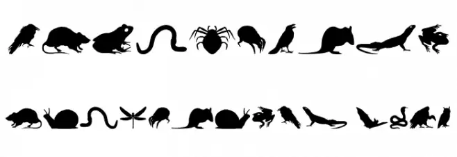 Creepy Crawlies Font OTHER CHARS